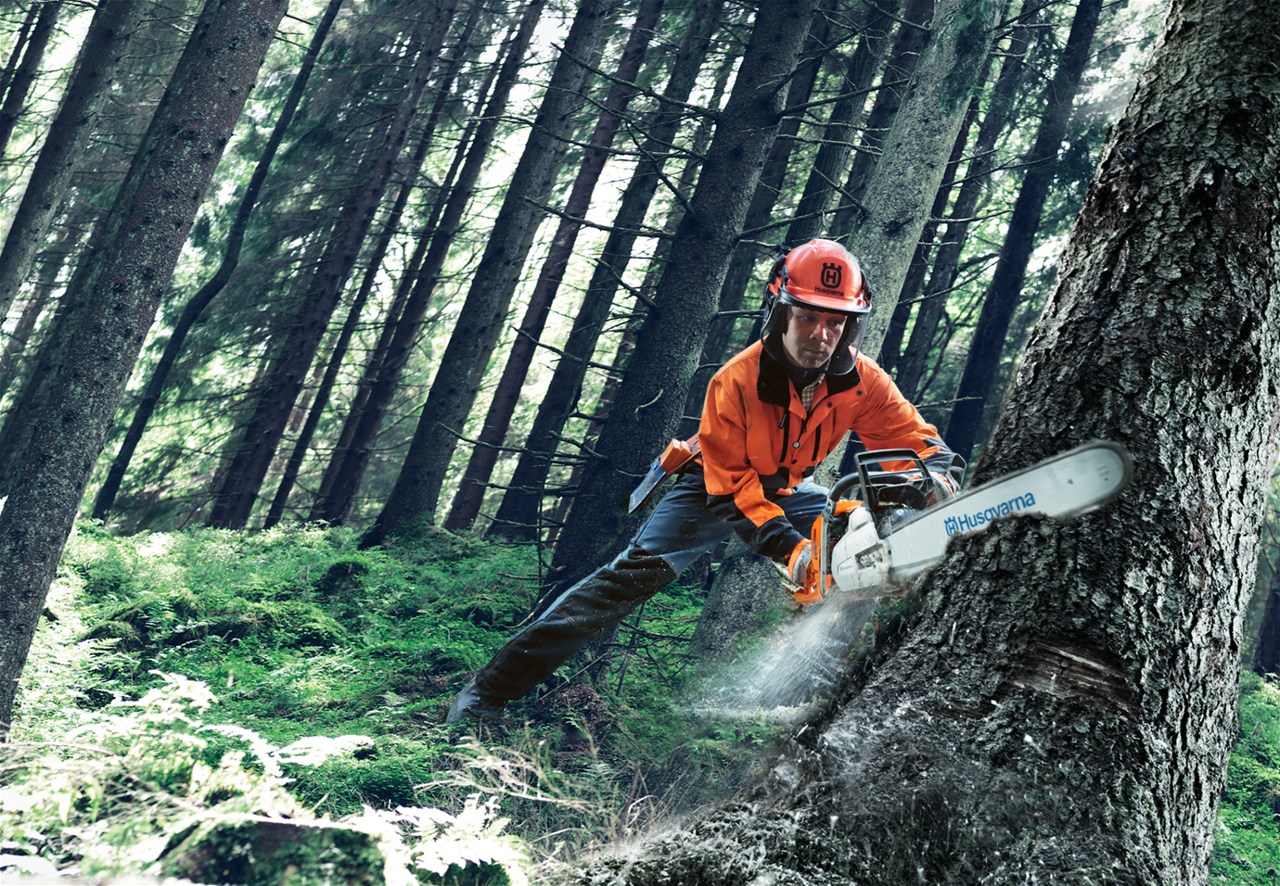 Stihl and Husqvarna